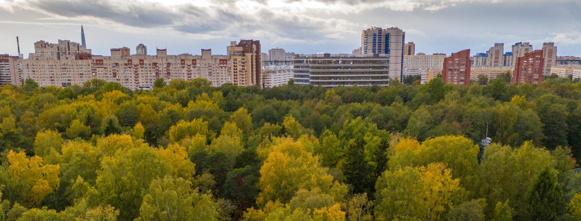 выборская сторона